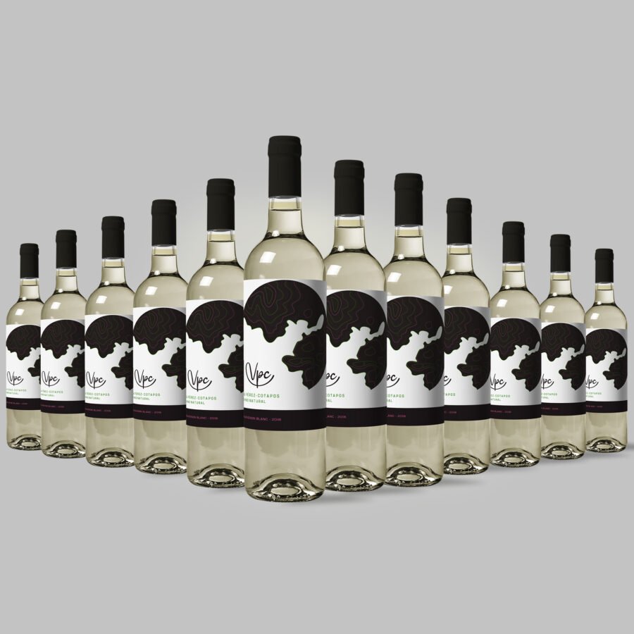 Vino natural Vegano Viña Perez Cotapos x 12